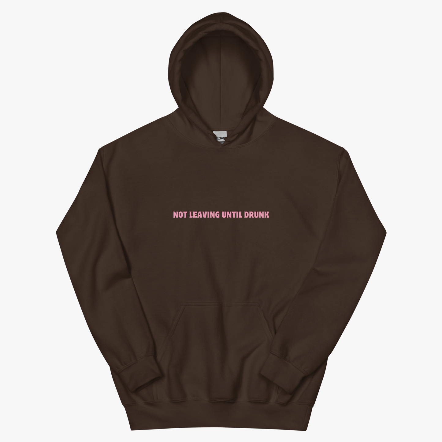Girls Just Wanna Have Fun Hoodie
